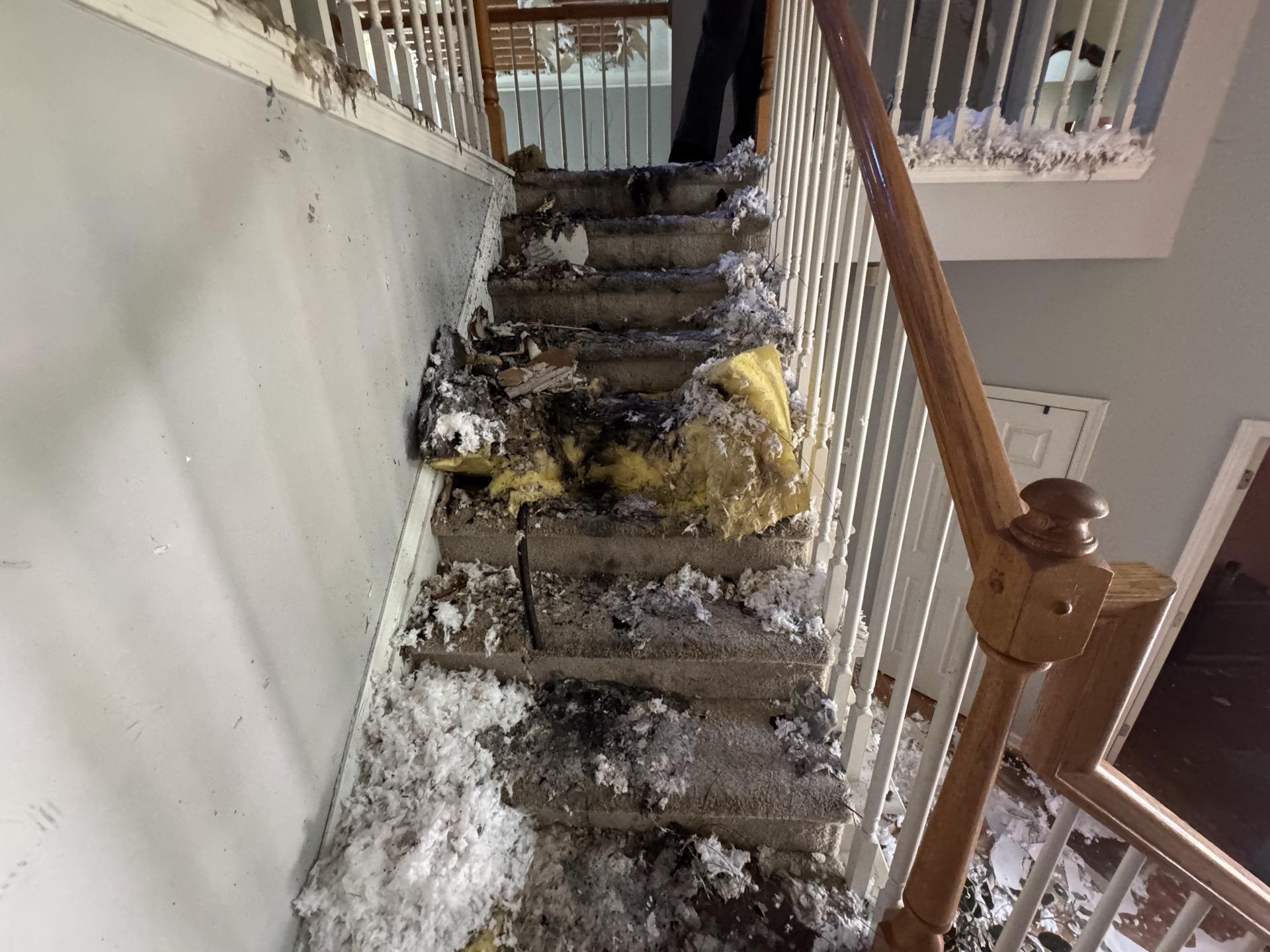 Storm debris and insulation scattered across a damaged stairway in an Austin home