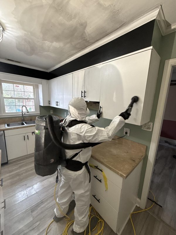Mold Remediation in Wells Branch, TX