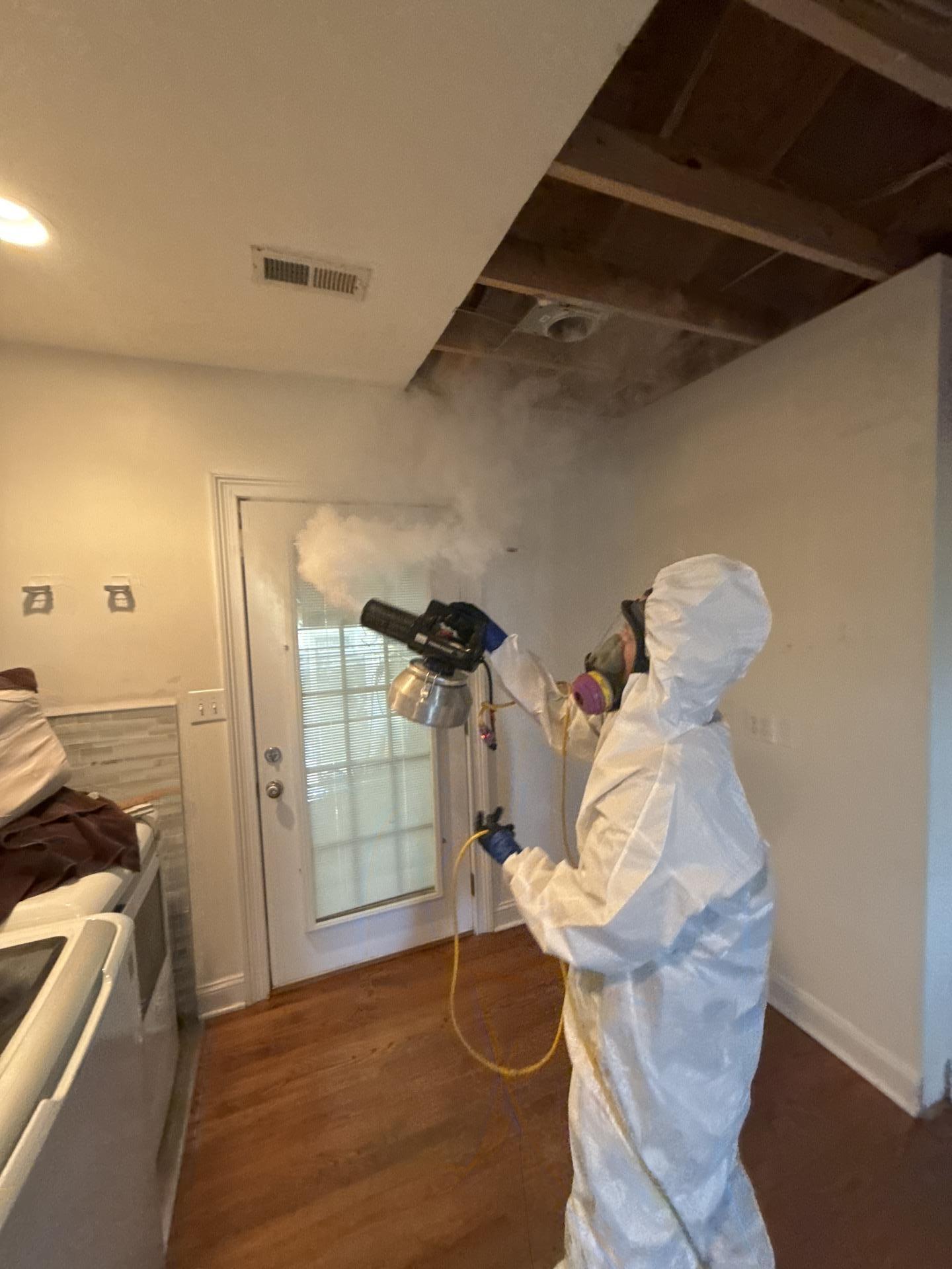 IRS technician fogging an area for mold remediation in Austin