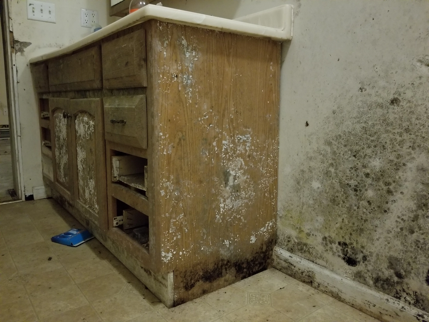 Extensive mold growth on kitchen cabinet and wall in a Austin home